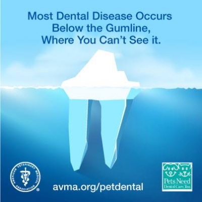Dental health impacts overall health